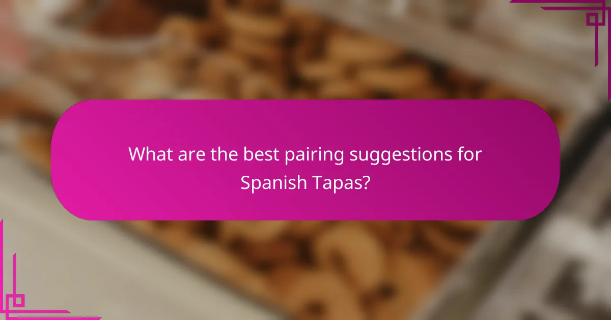 What are the best pairing suggestions for Spanish Tapas?