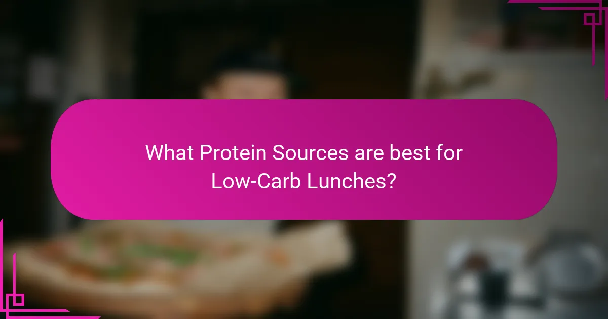 What Protein Sources are best for Low-Carb Lunches?