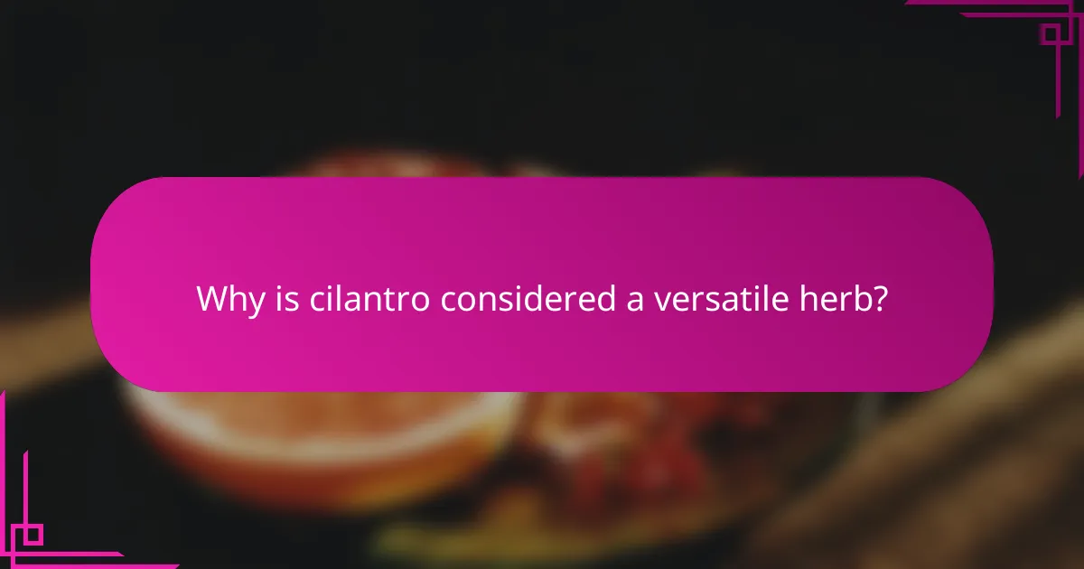 Why is cilantro considered a versatile herb?